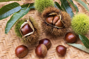 年末までに転職を決めたい人が今すべきこと